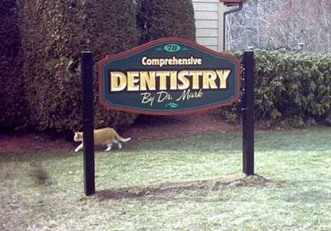 Dentistry by Dr. Mark — hand-carved dimensional sign by Hale Custom Signs