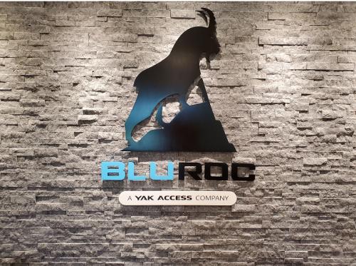 BluRock LLC Dimensional Lettering — specialty custom sign by Hale Custom Signs